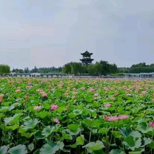 天乐