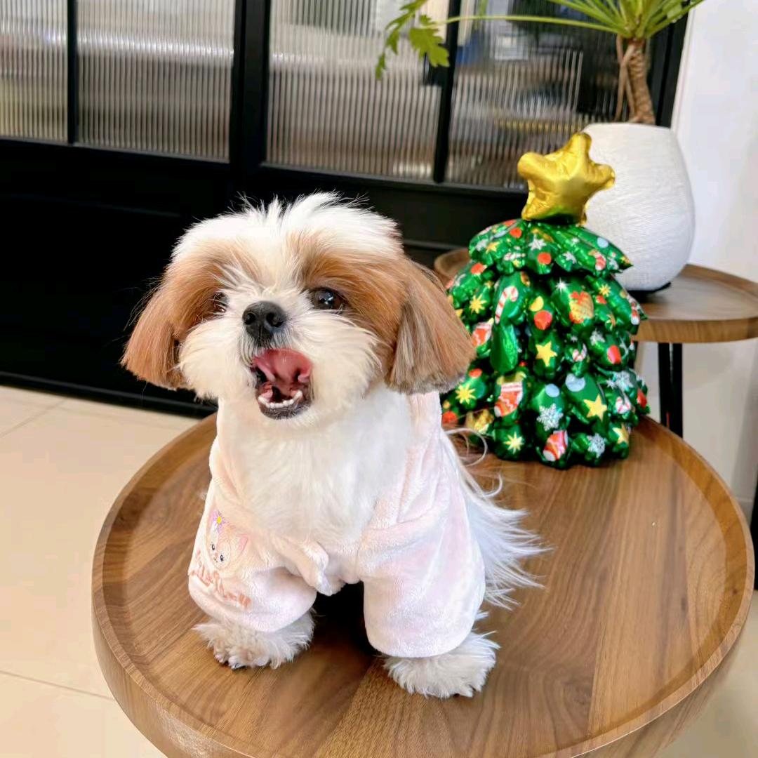 小余别游了头像