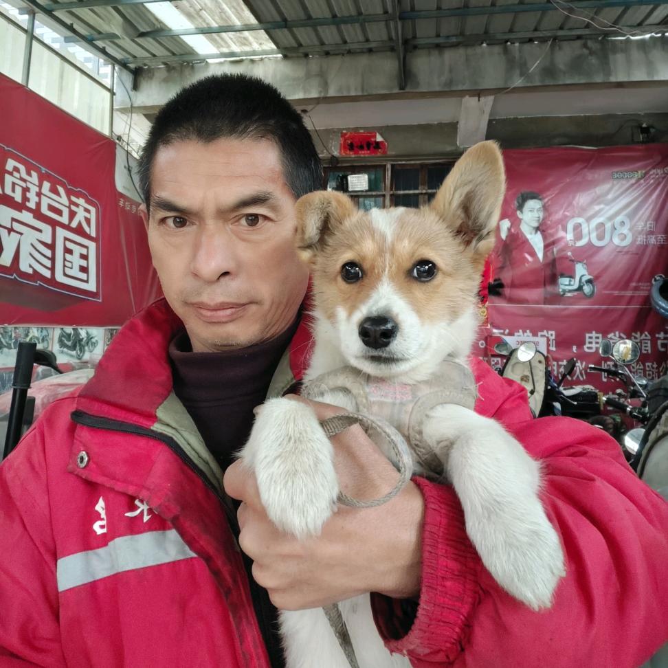 等我东山再起，陪你走遍天下
