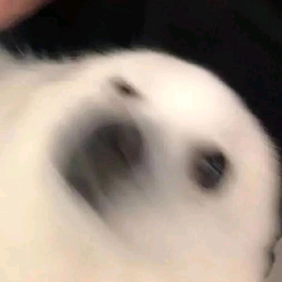 赵狗蛋