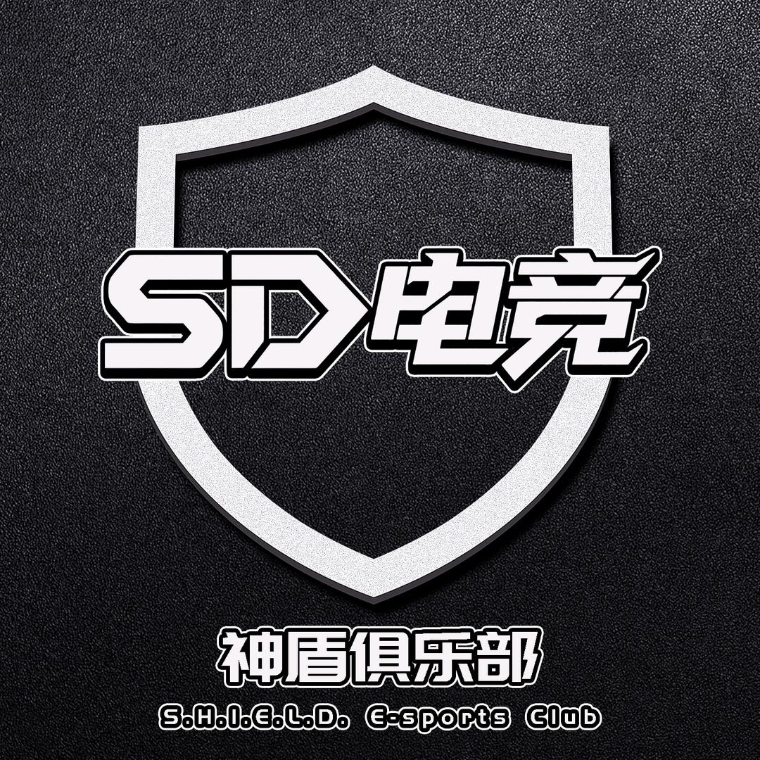 SD神盾电竞