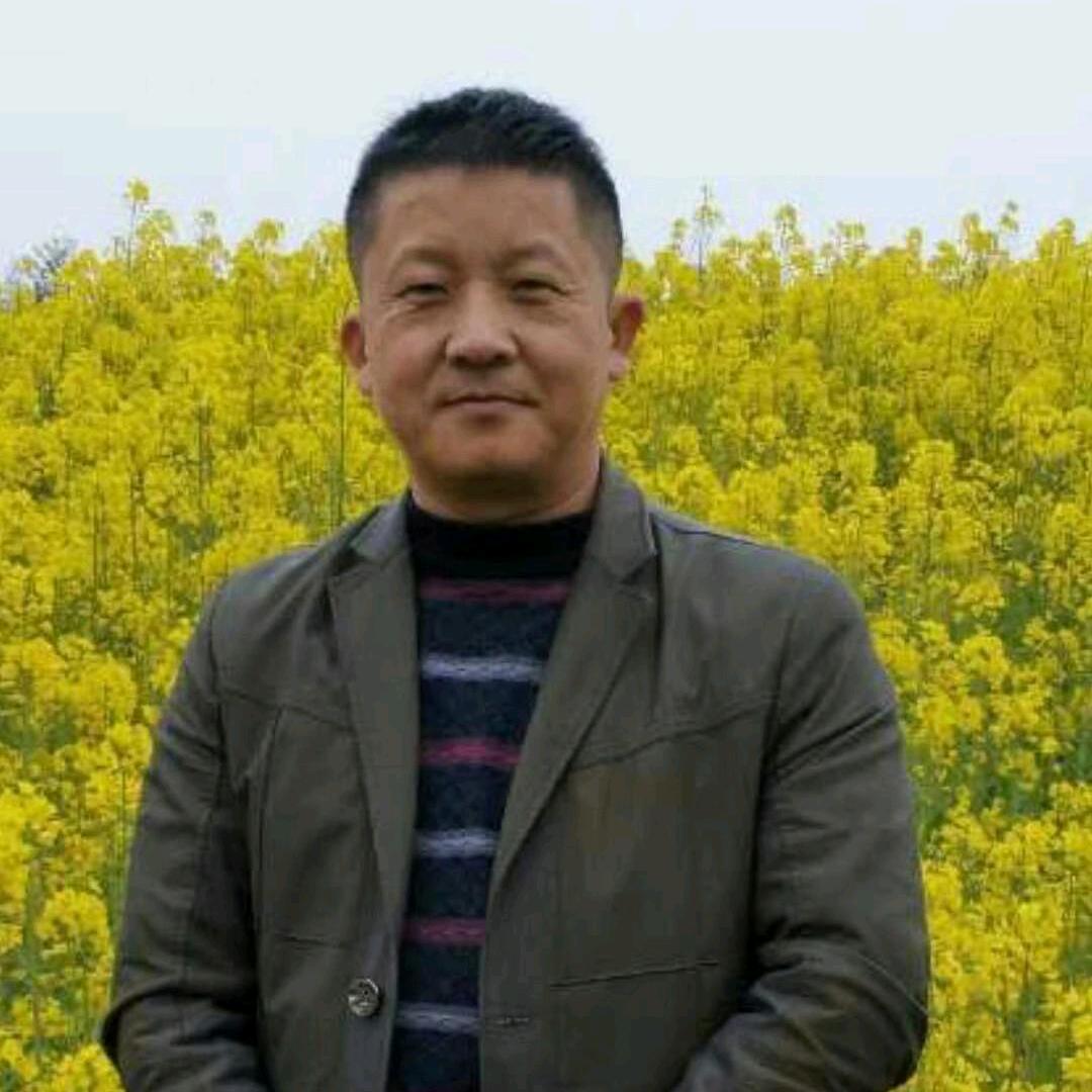 平淡哥（武汉江夏）