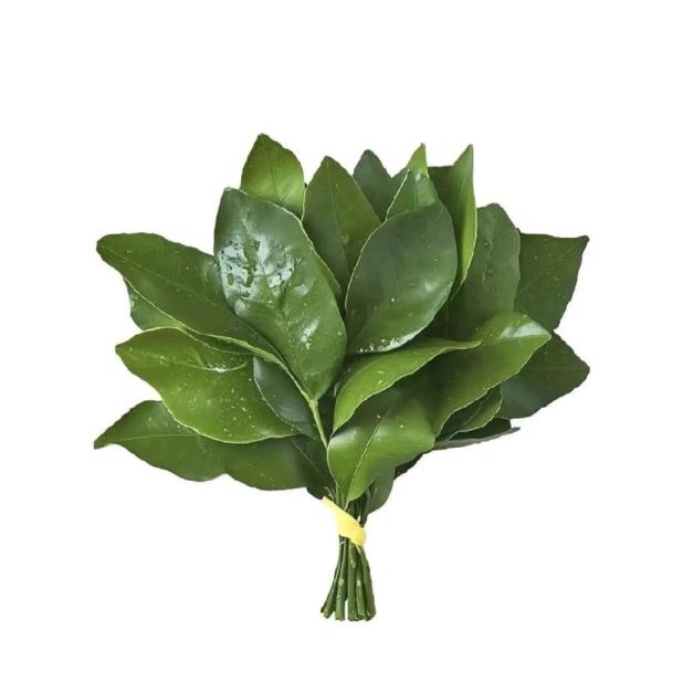 dy