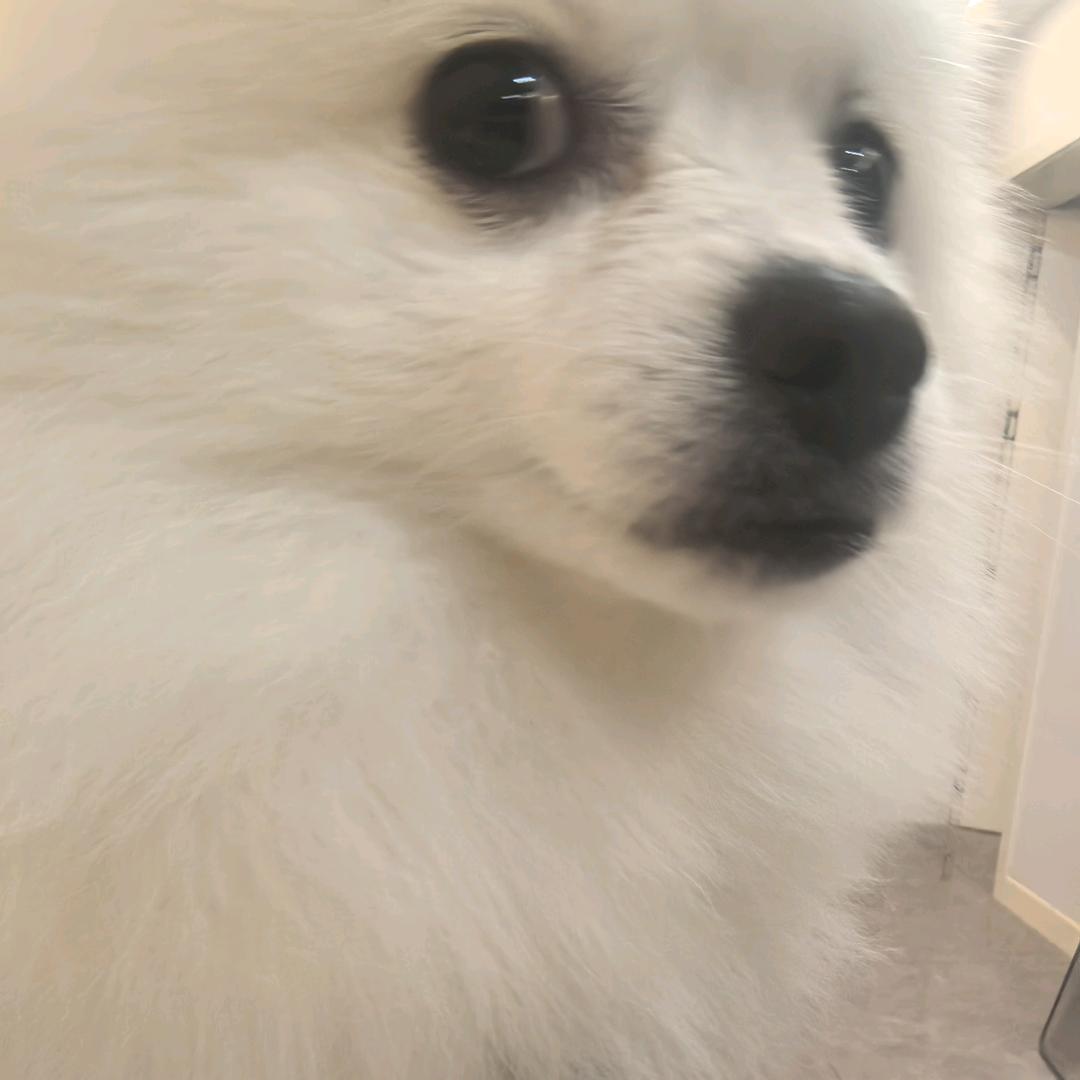 你看看