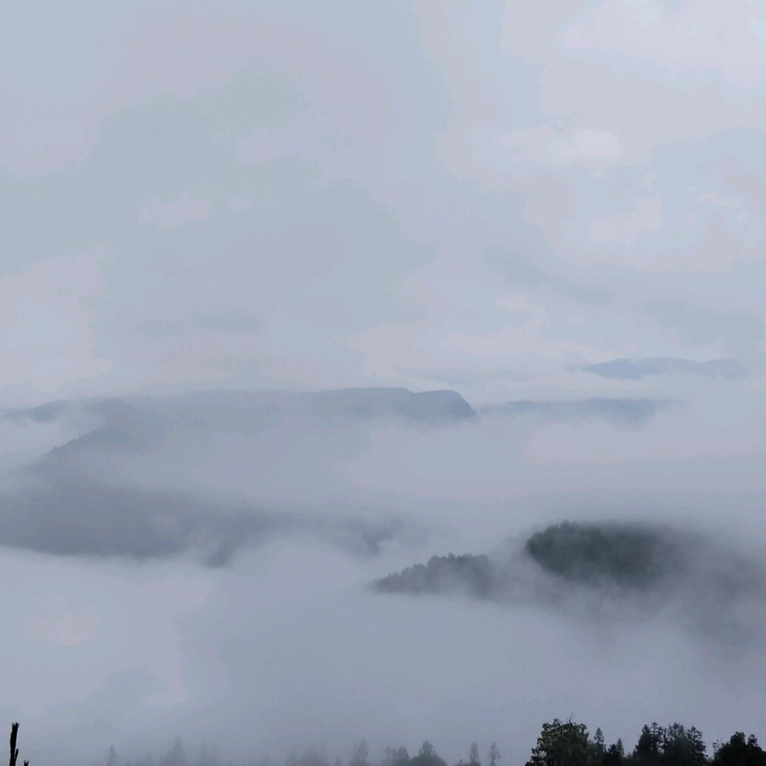 人生有几个十年