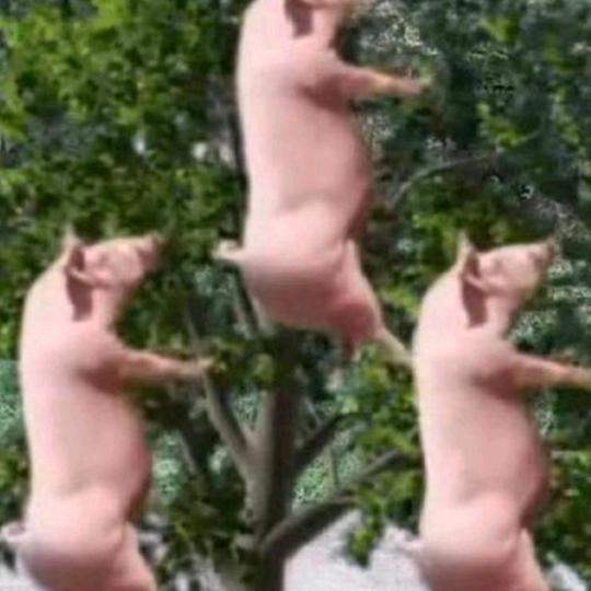 单身一辈子