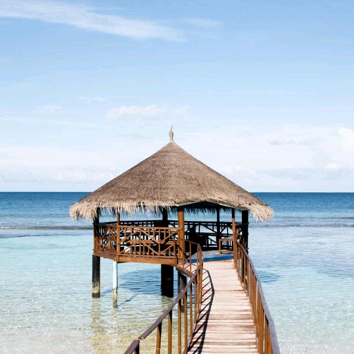 伍掌柜的田间日记