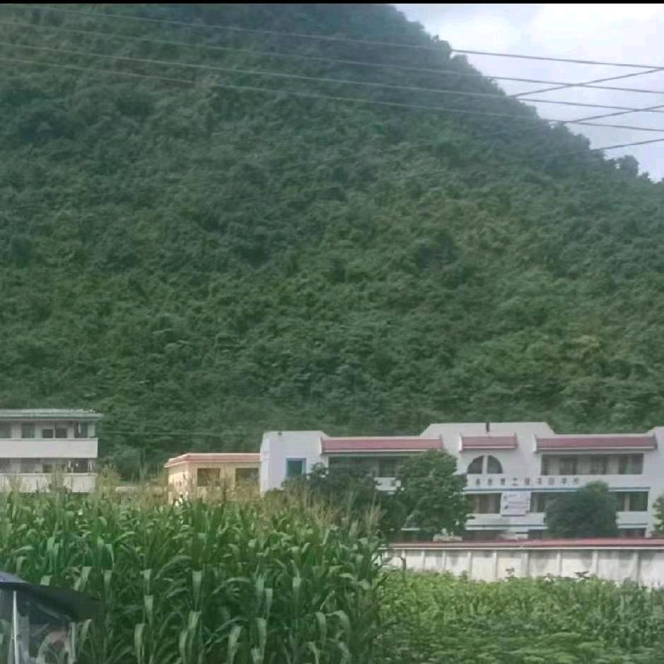 地推哥