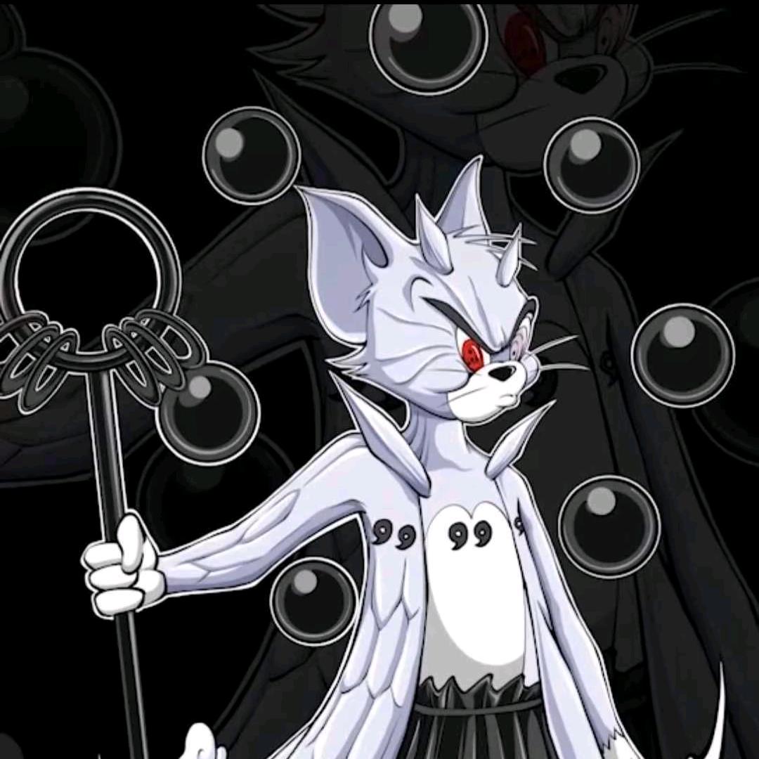 光猫