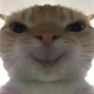 咕噜肉