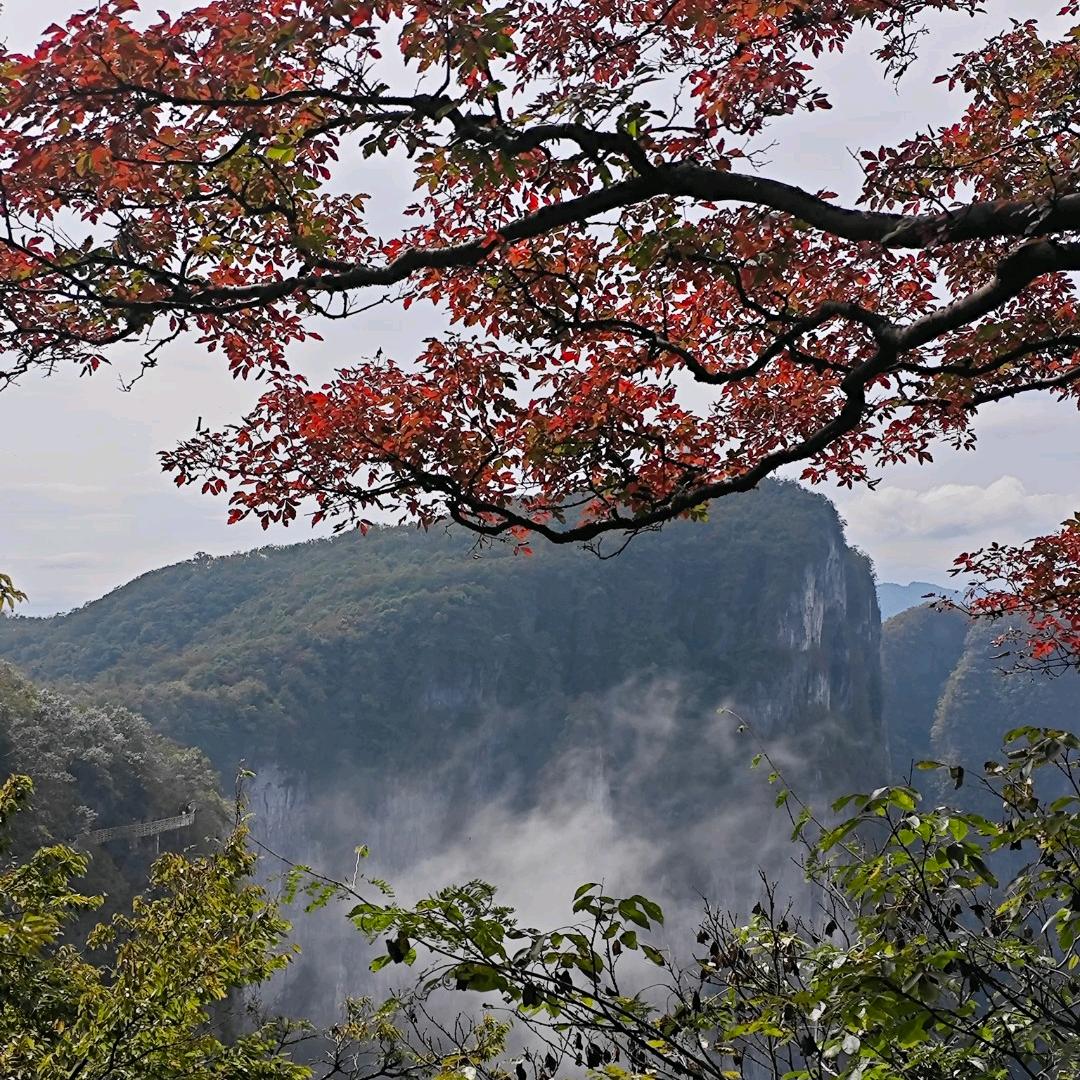 家有三福宝👩👧👦