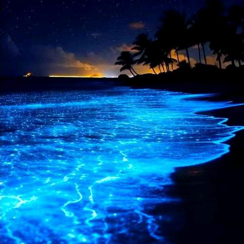 〖難噵祇剩恛憶〗