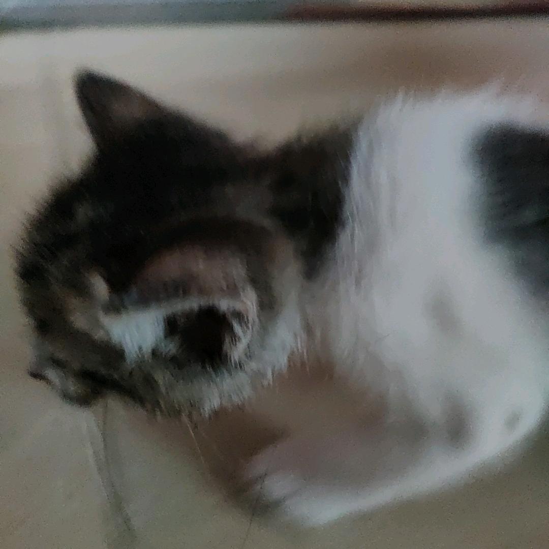 是百命呀！