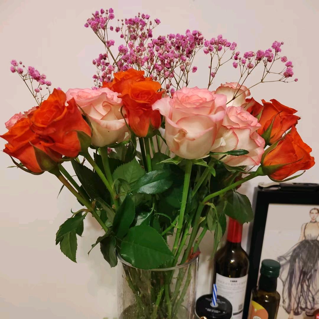 @佳佳‖苏州精选找房