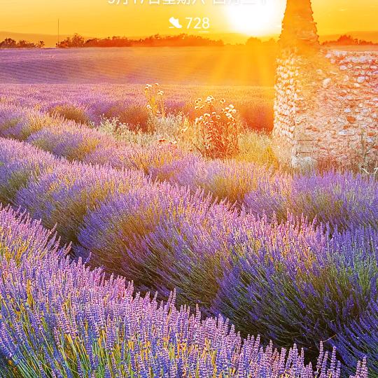 澜花谷泡泡浴按摩SPA