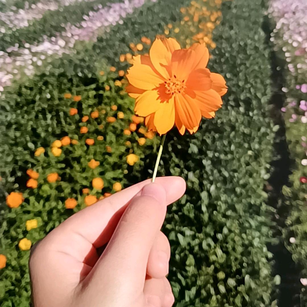 团圆好物精选