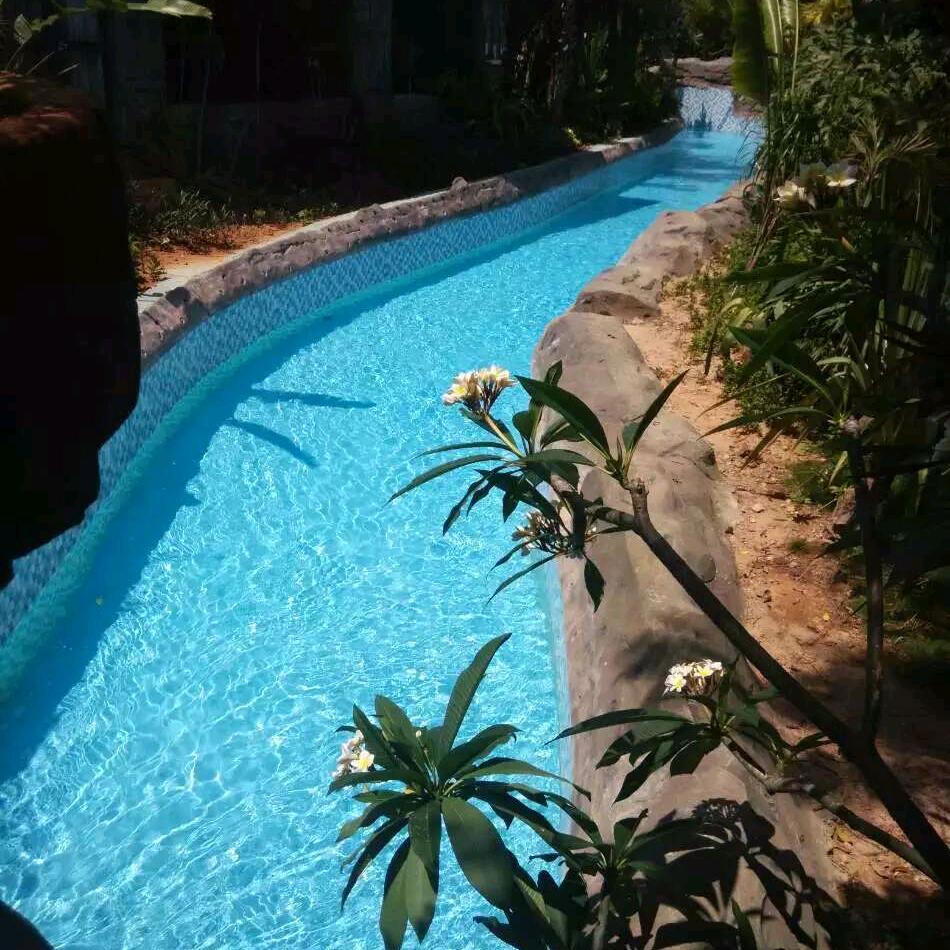 论坛