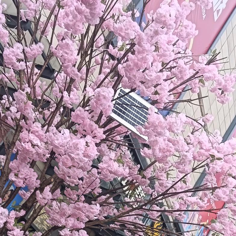静心
