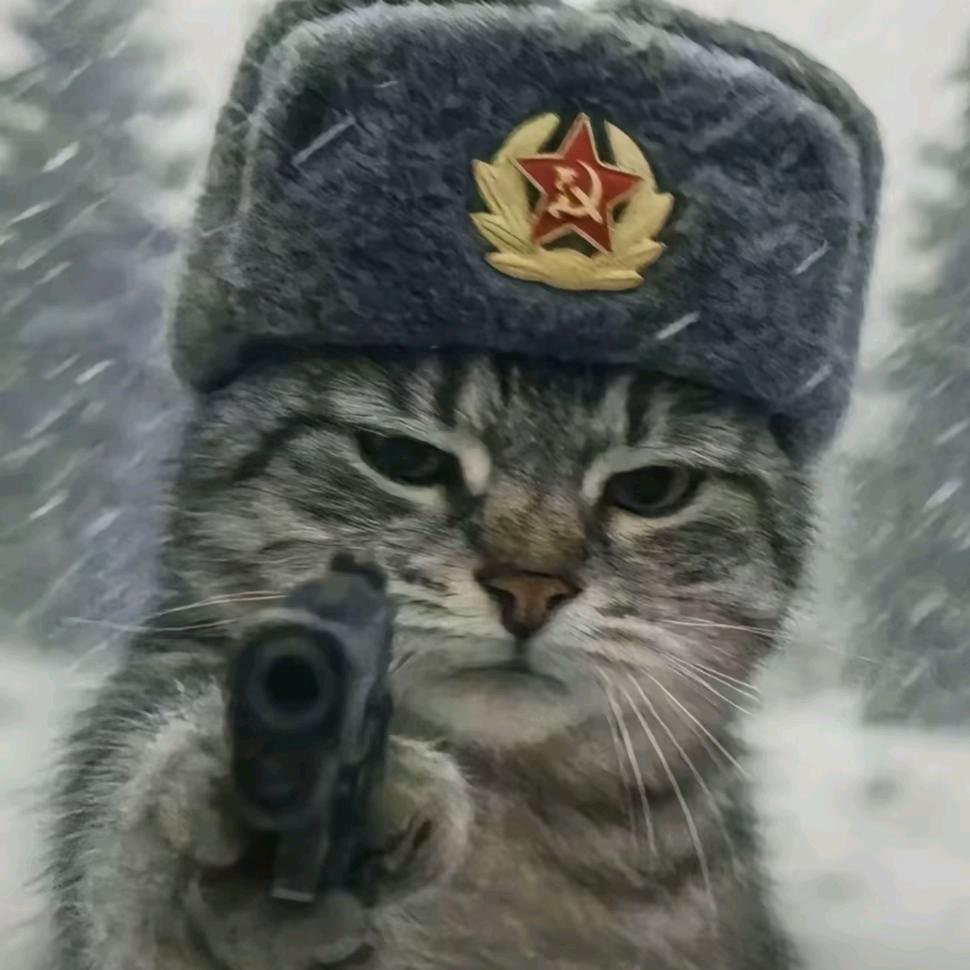 慕朝阳