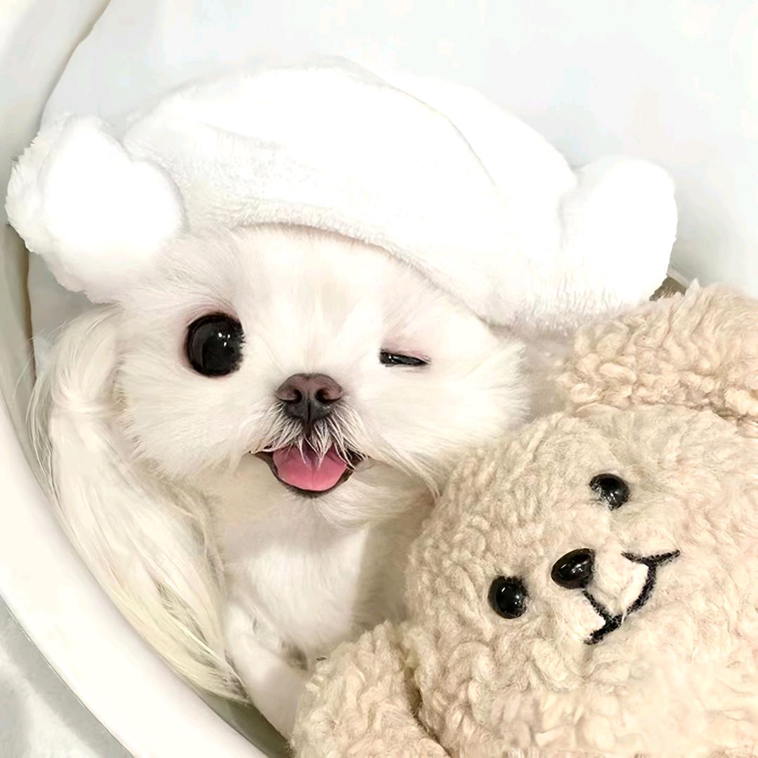 睡不醒耶