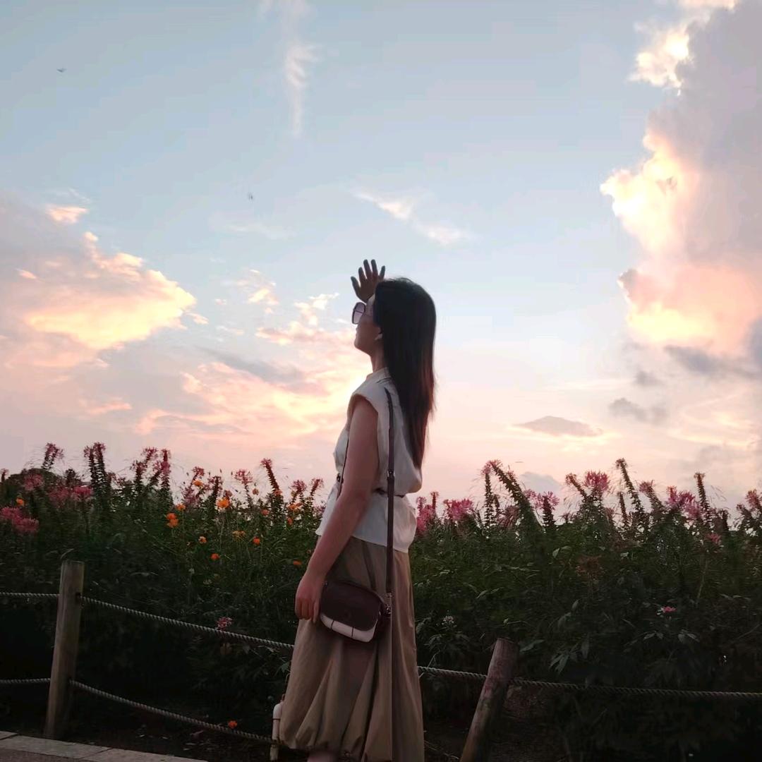 萤火虫之夜