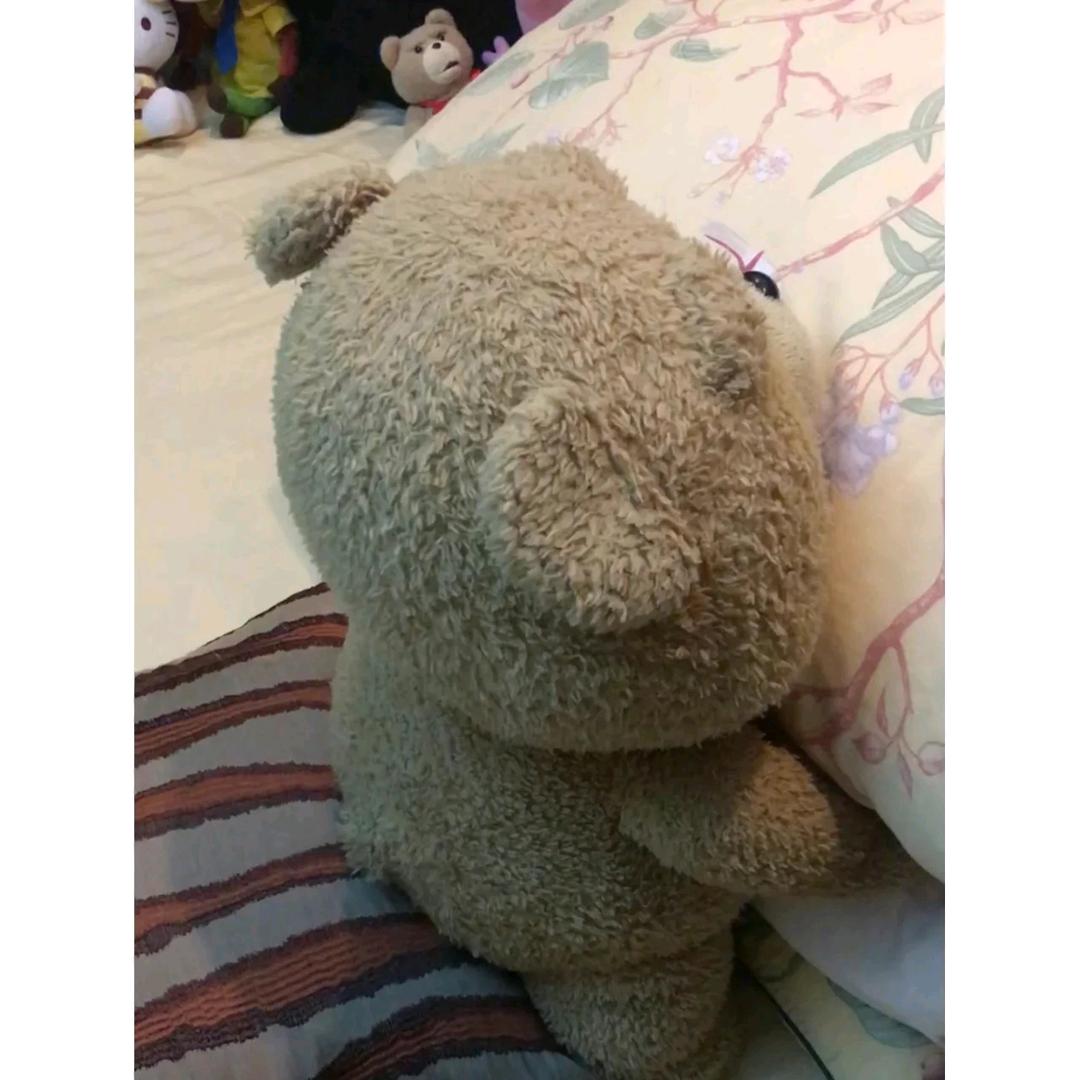 兔子爱吃胡萝贝