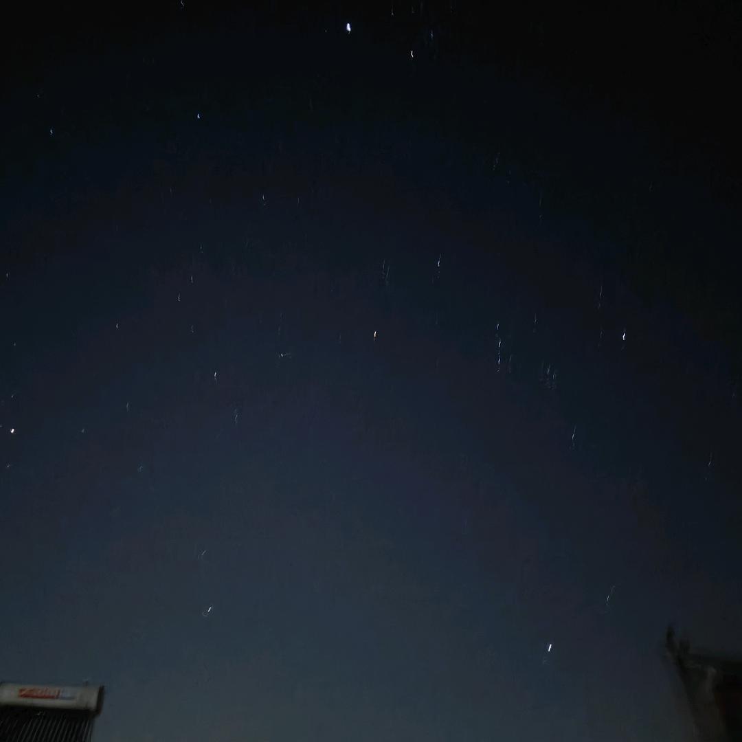 小狗你太可爱了