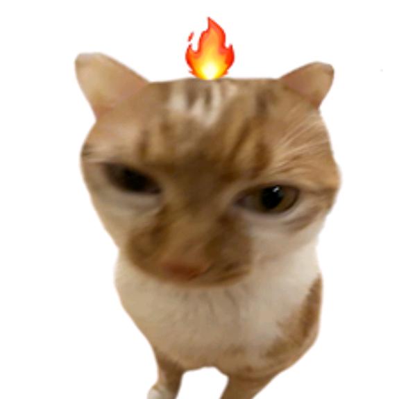 枣糕
