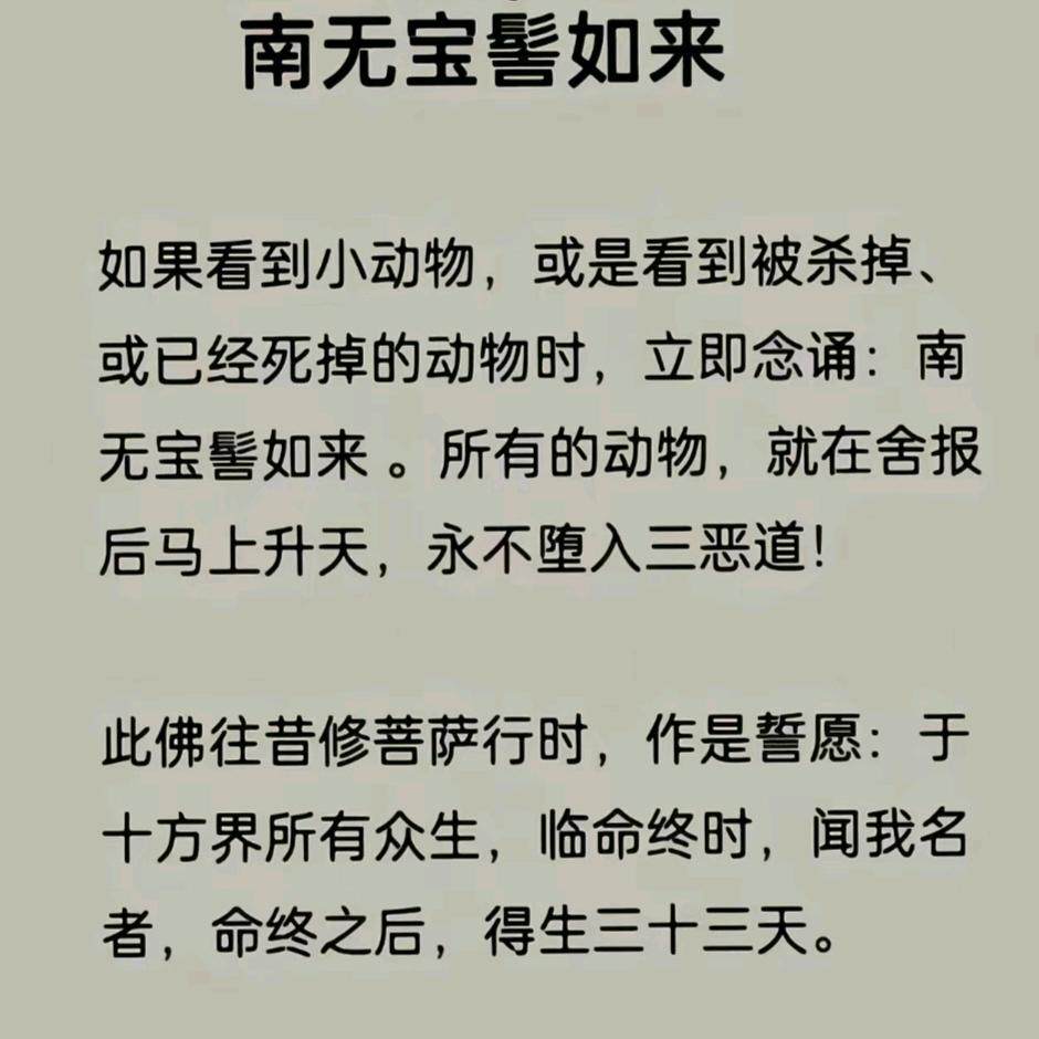 第三视角
