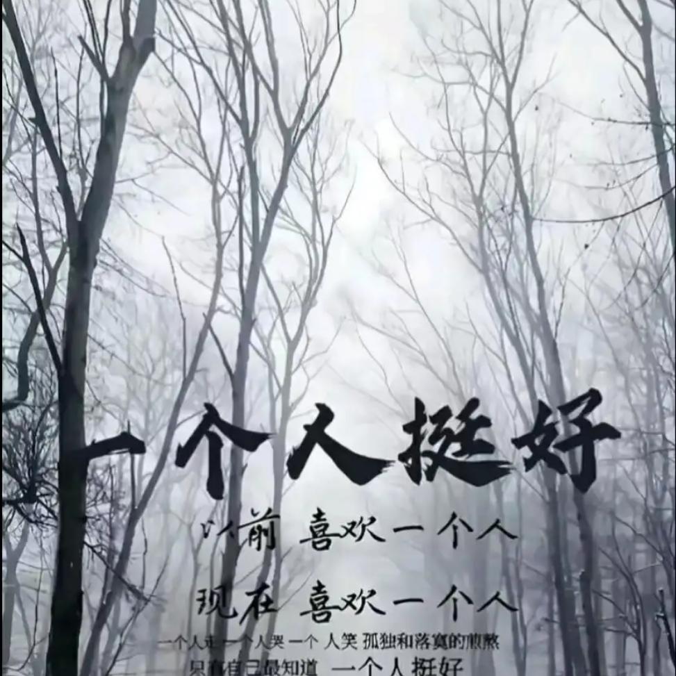 宇莘莘