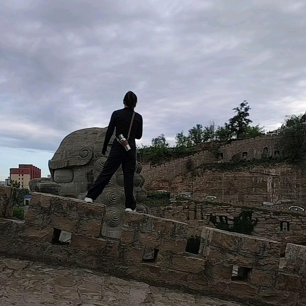 菩提树下悟菩提