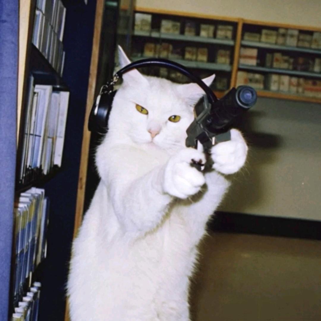 小猫爬树爽歪歪