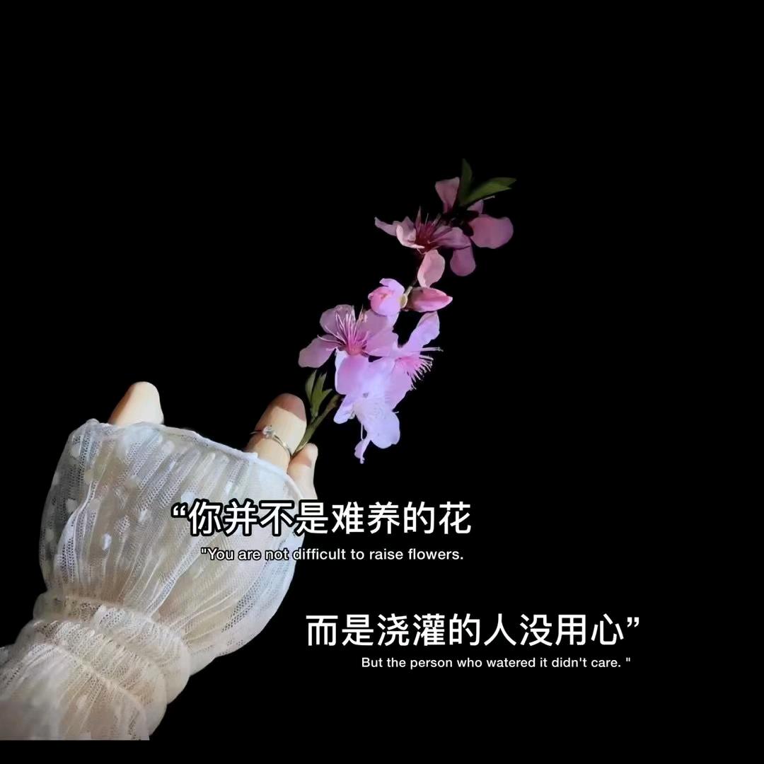 小妖精✨