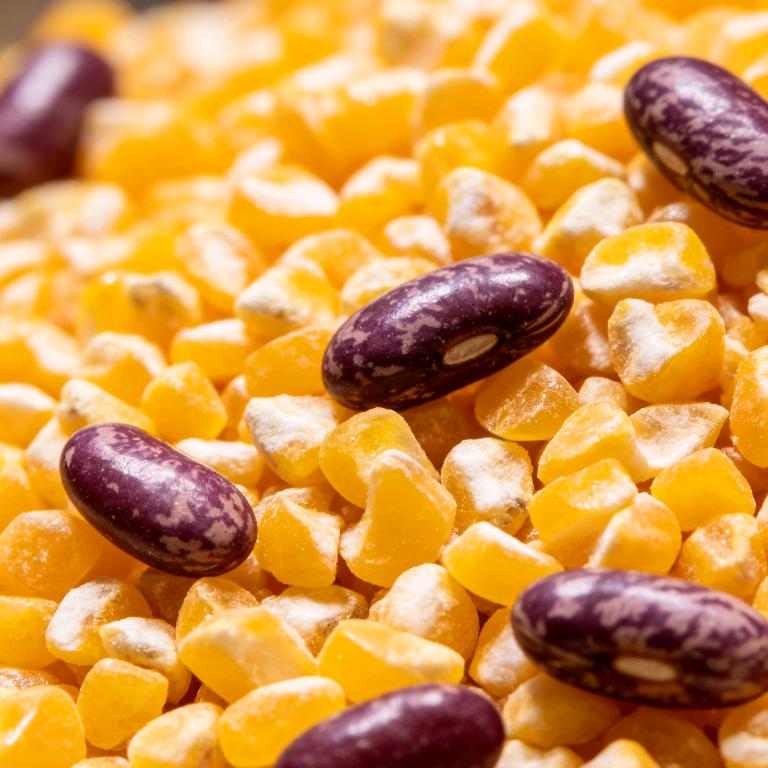 平邑雨瑶家庭农场优品严选