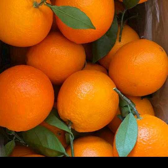 从此学会多少爱自己一点儿