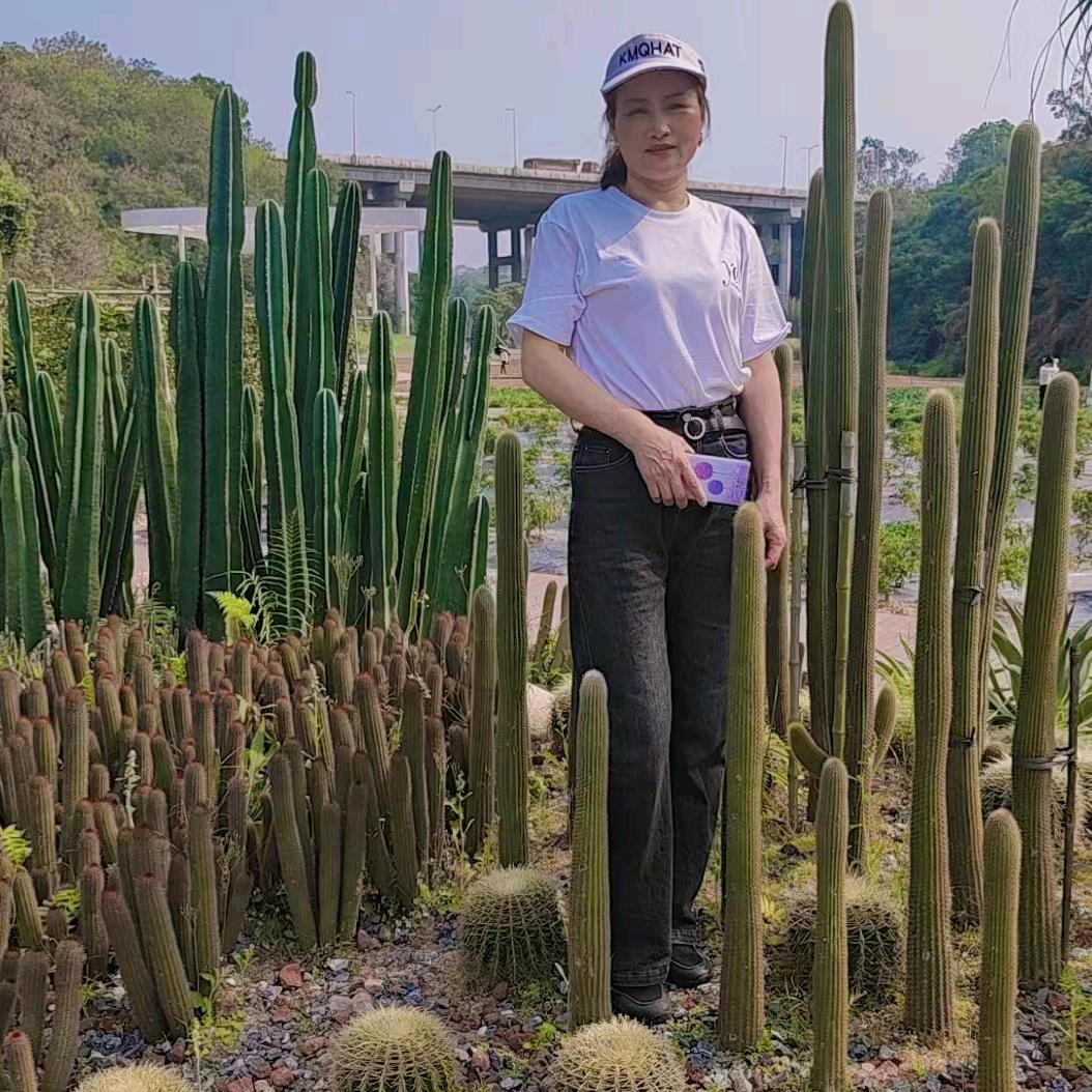 用户284646689兰兰