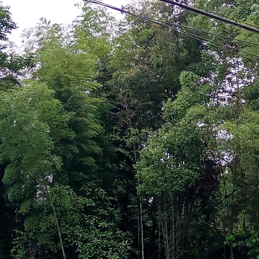 A~睡不完的觉