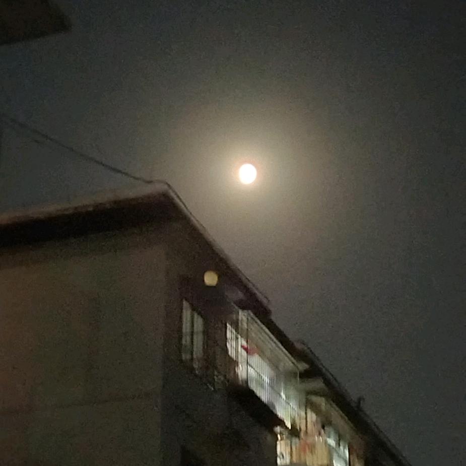 你是我永远的痛