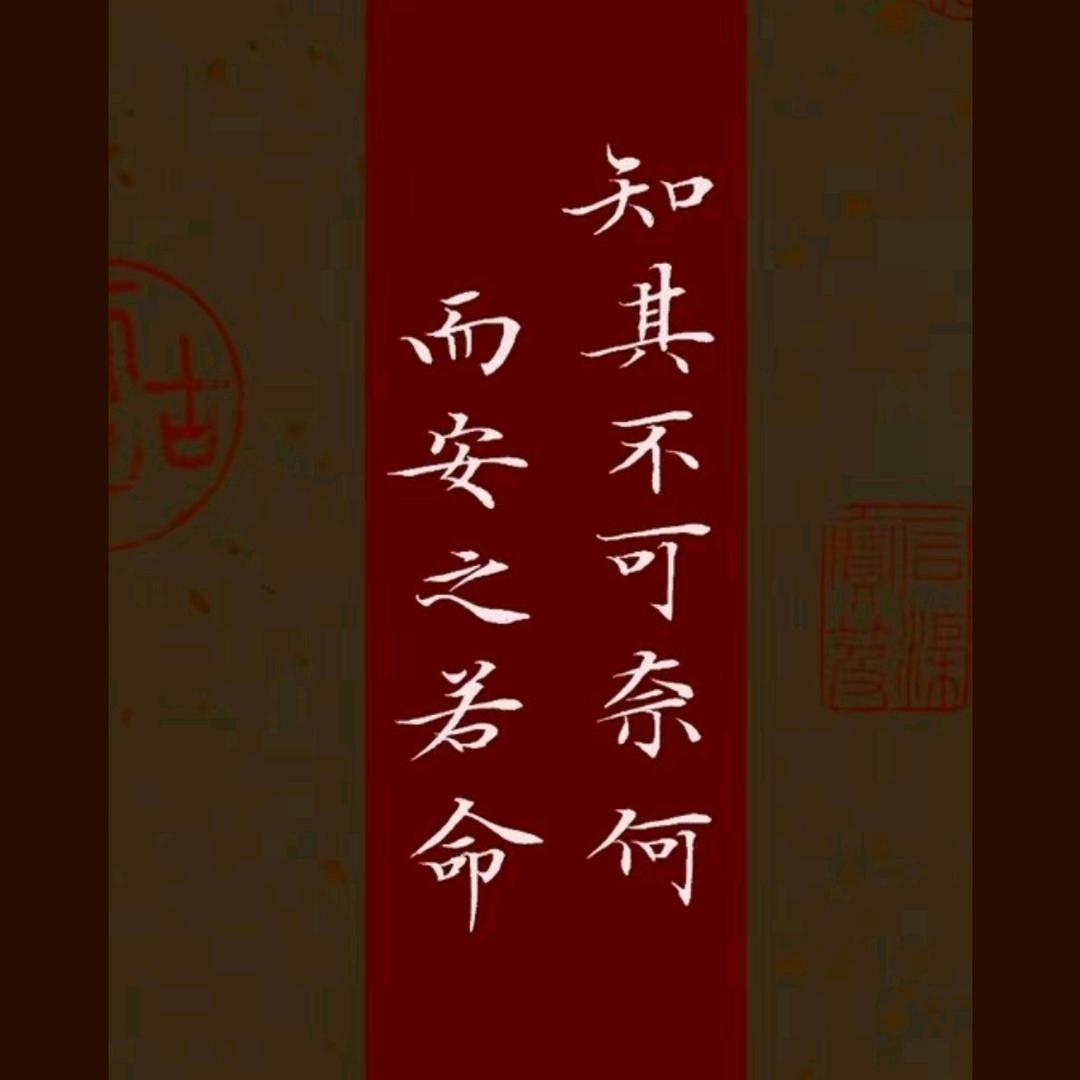 只为伊(一)人