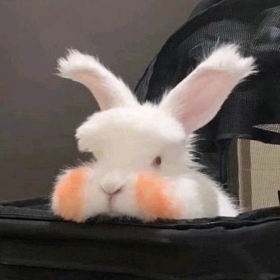 🧡̆̈ ʟ̆̈ᴜ̆̈ᴄ̆̈ᴋ̆̈ʏ̆̈