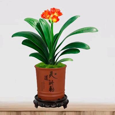 向幸福出发