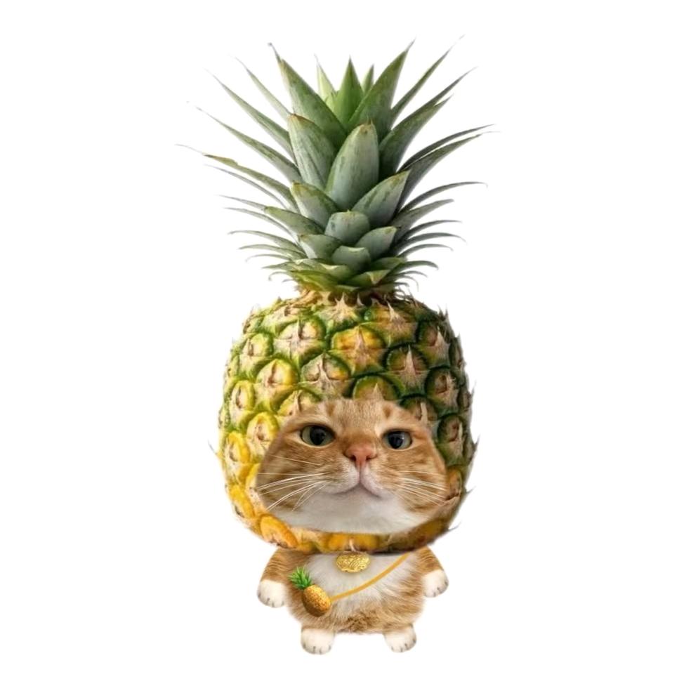 ʸᵘⁿⁱ