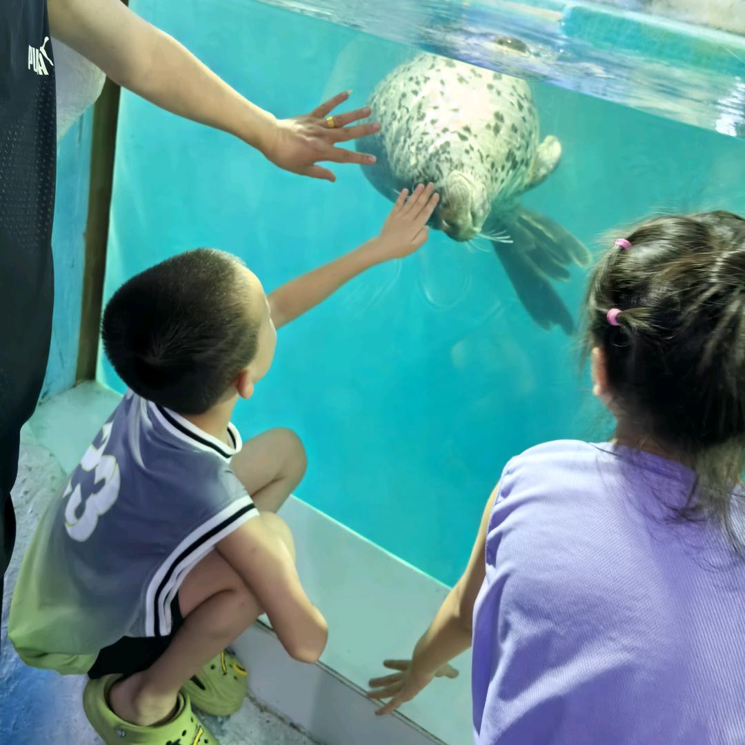 我的儿子叫蓝迪