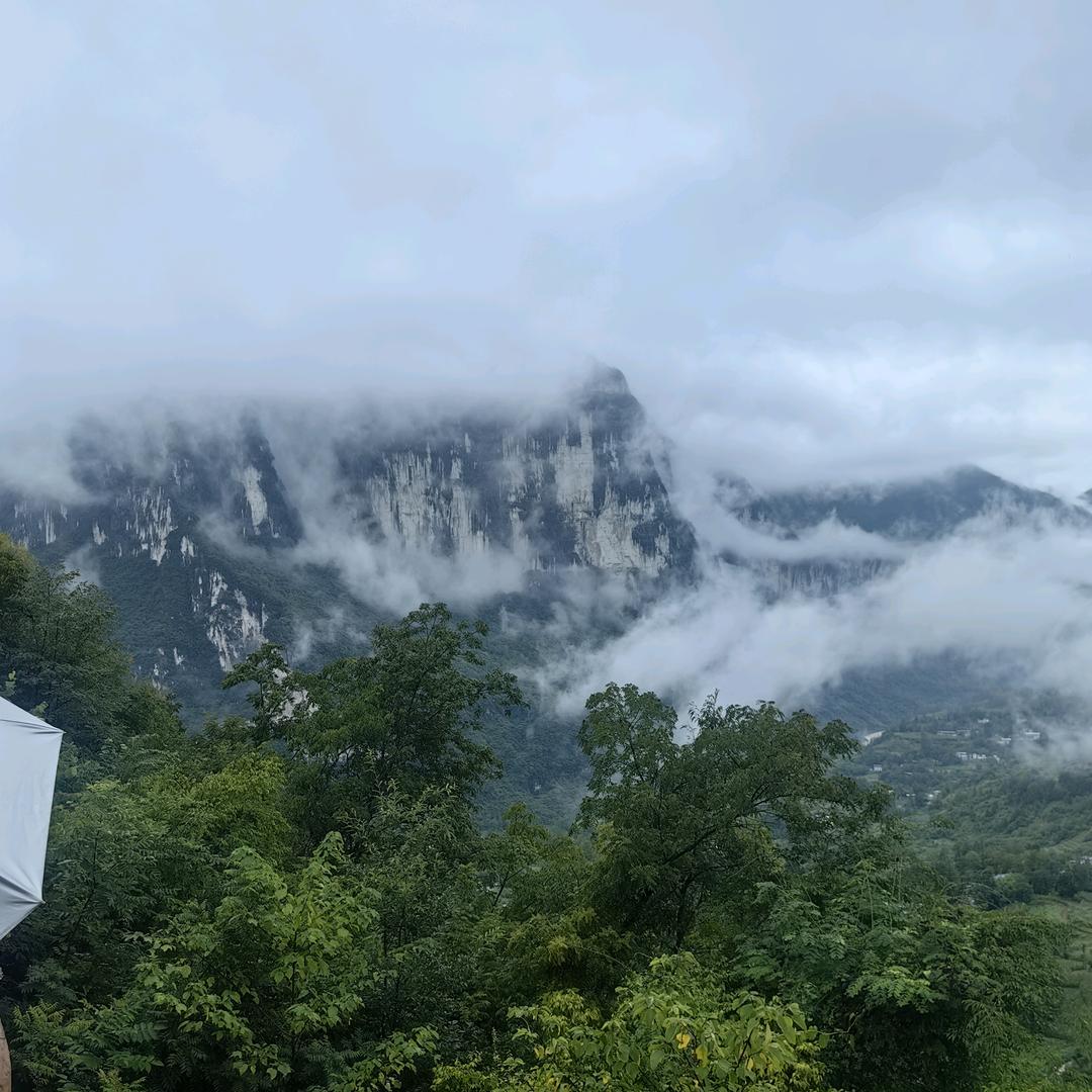 CC✨（承蒙厚爱）