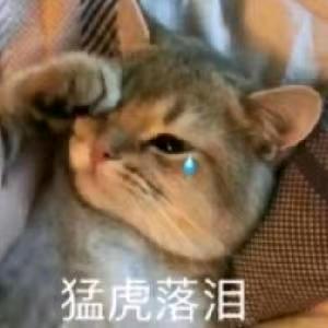 白首解说