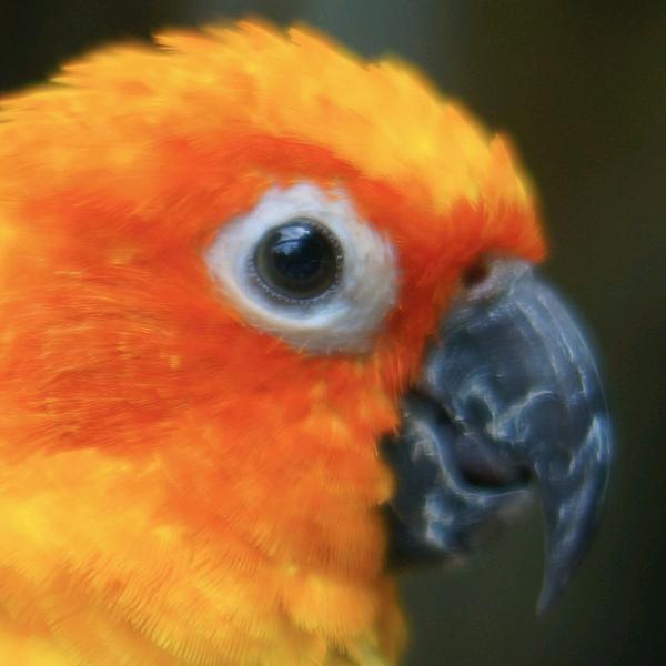 外面雨怎么没停