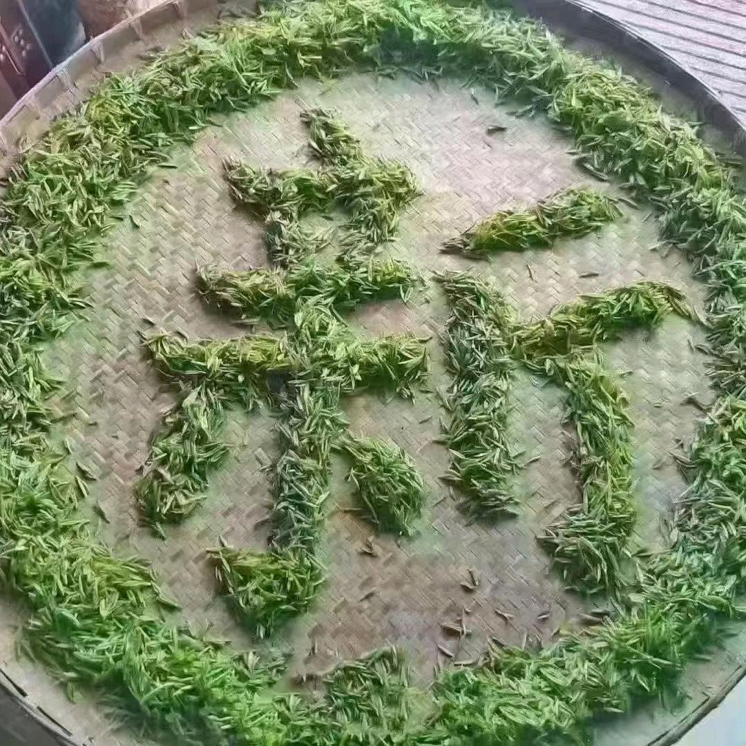 心若向阳
