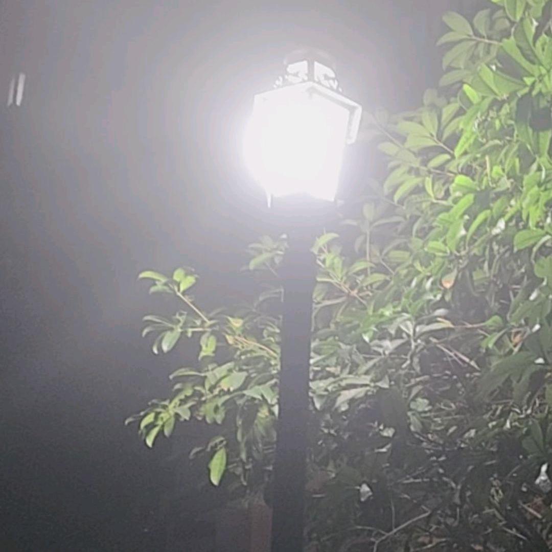 原来都是假的