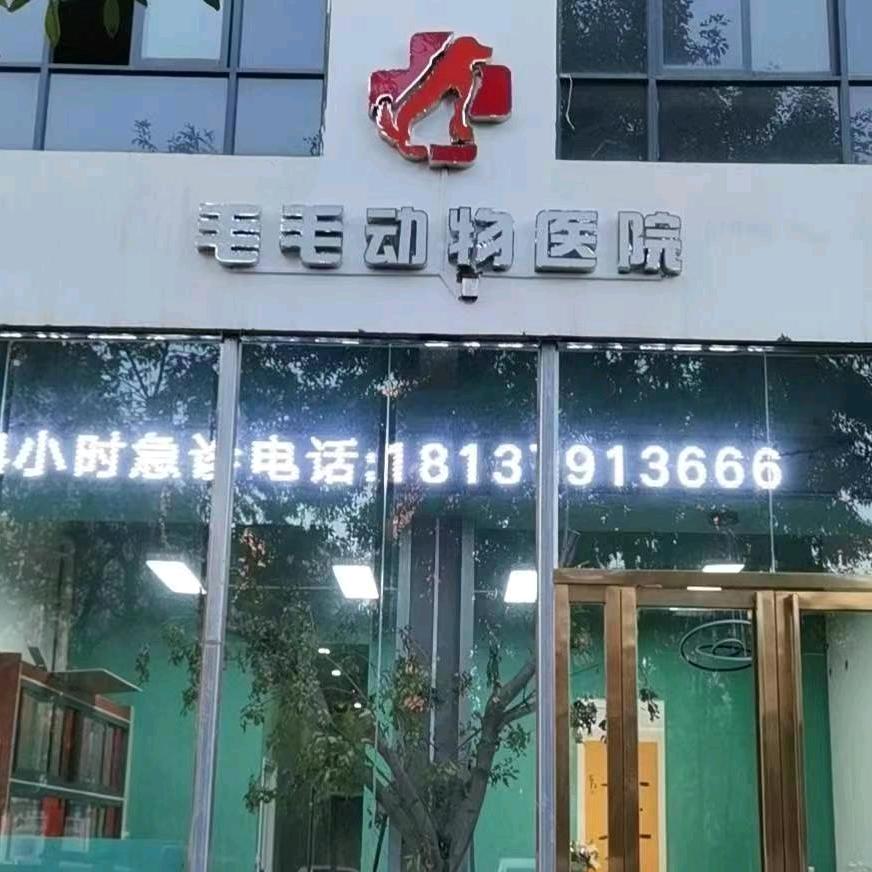 毛毛动物医院