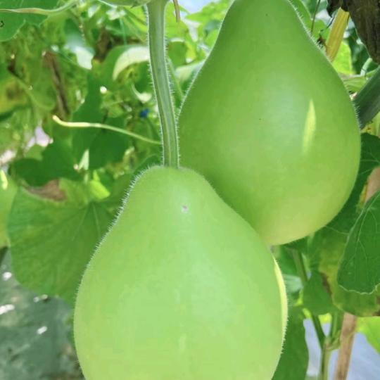 幸福还在梦中里